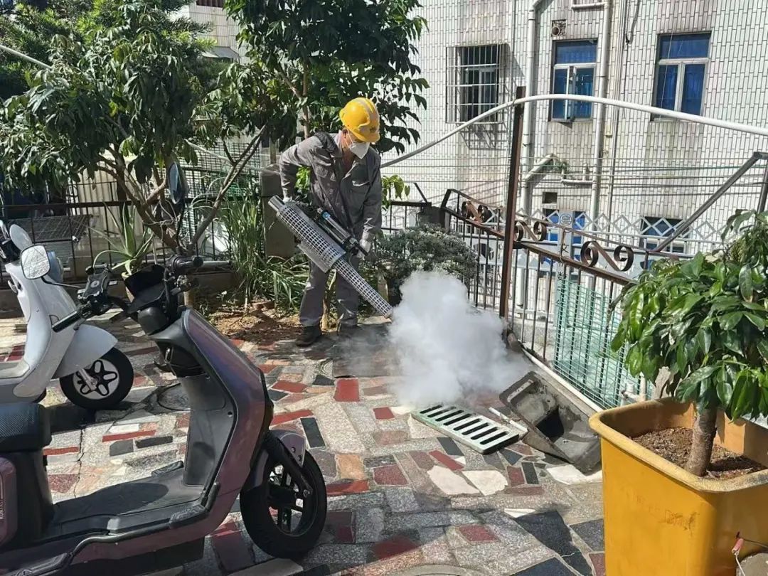深圳开展防蚊灭蚊“集中消杀”行动：上班/下班1分钟清积水
