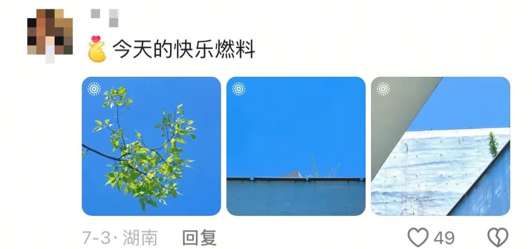 “建议频繁记录生活”上热搜！网友：后悔没早点开始