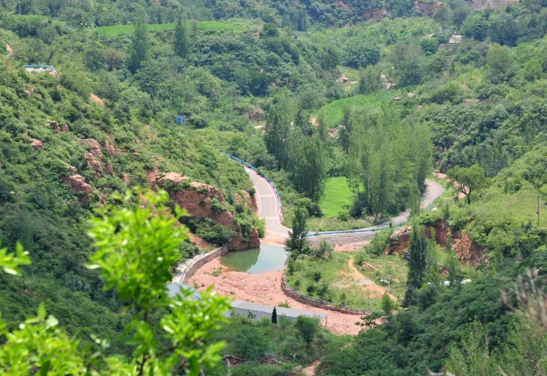 山风、蝉鸣、古树浓荫……郑州1h直达伏羲山脚下的小众秘境！