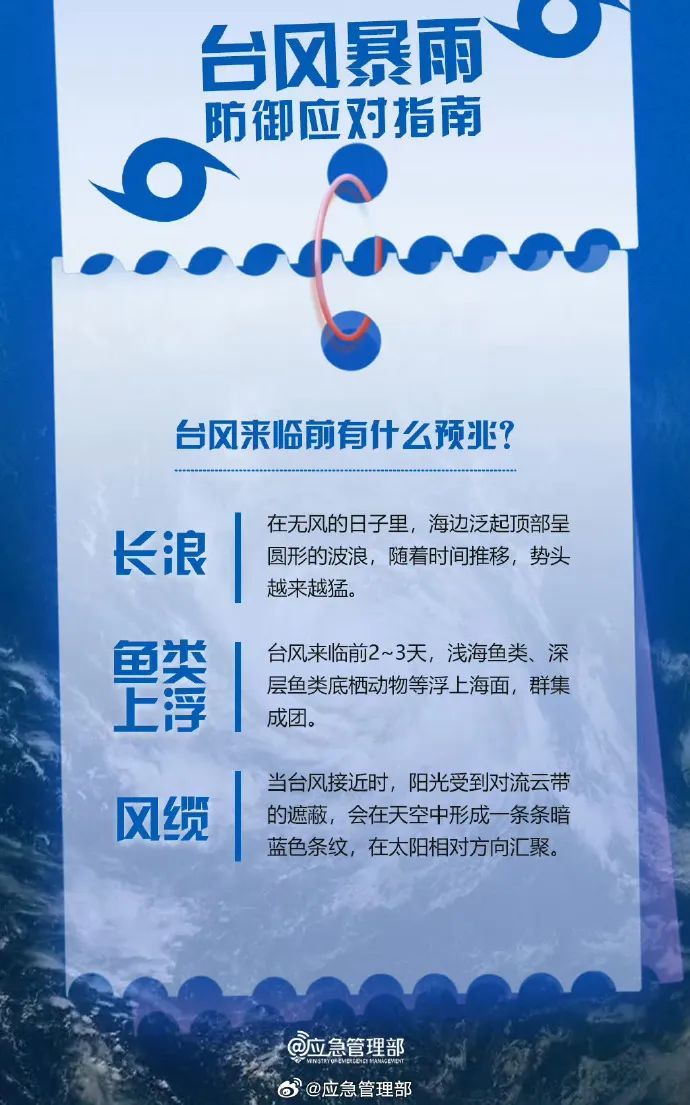 “竹节草”已进入南京,何时移出? “竹节草”已进入南京,何时移出?