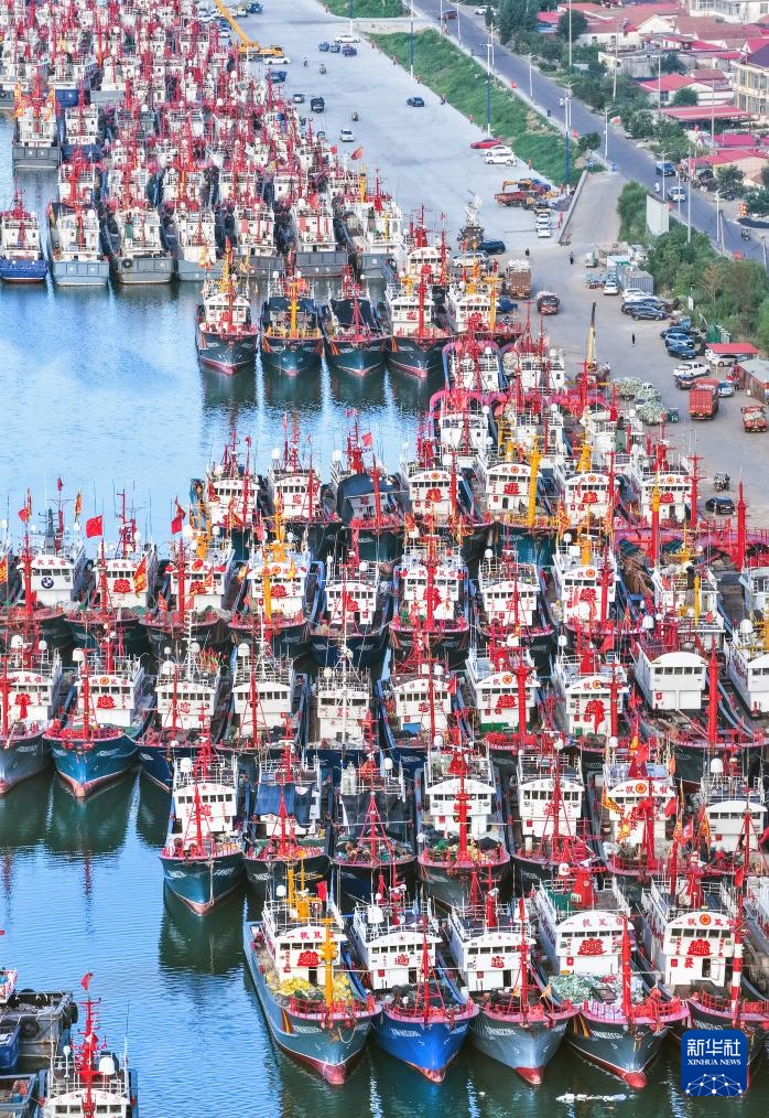 积极应对台风“竹节草”