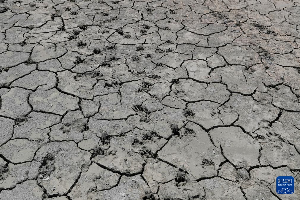 黎巴嫩最大人工湖水位下降