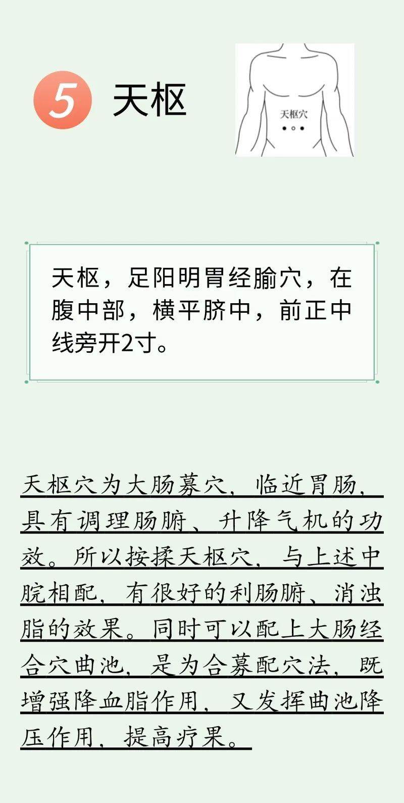 不做 “油腻青年”！每天穴位按摩+养生茶饮，帮助降血脂