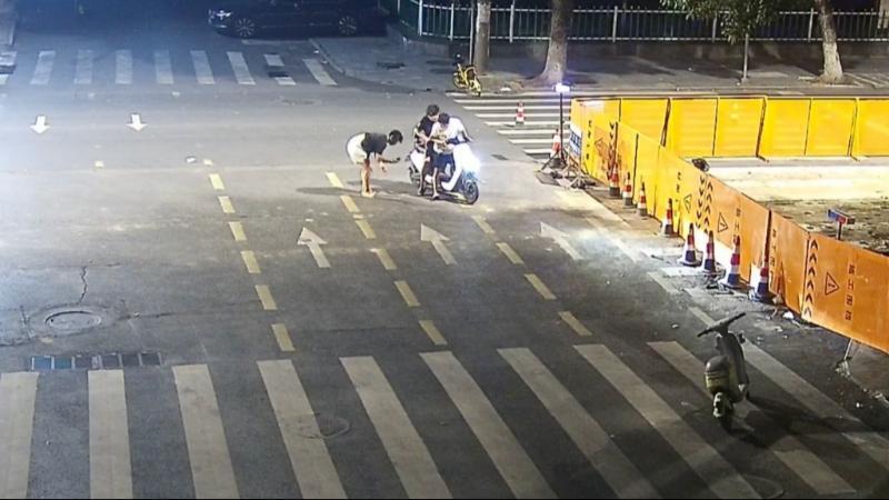 江西吉安:红角鸮流落街头 干群合力救助 江西吉安:红角鸮流落街头 干群合力救助