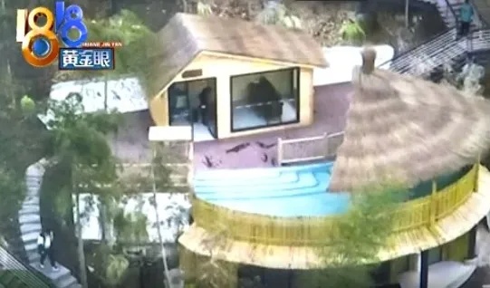 上海6岁男孩意外死亡，在酒店游泳时手臂被这个“黑洞”死死吸住→