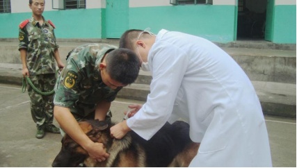 18岁列兵缉毒牺牲 亲属祭扫现场“全员马赛克”
