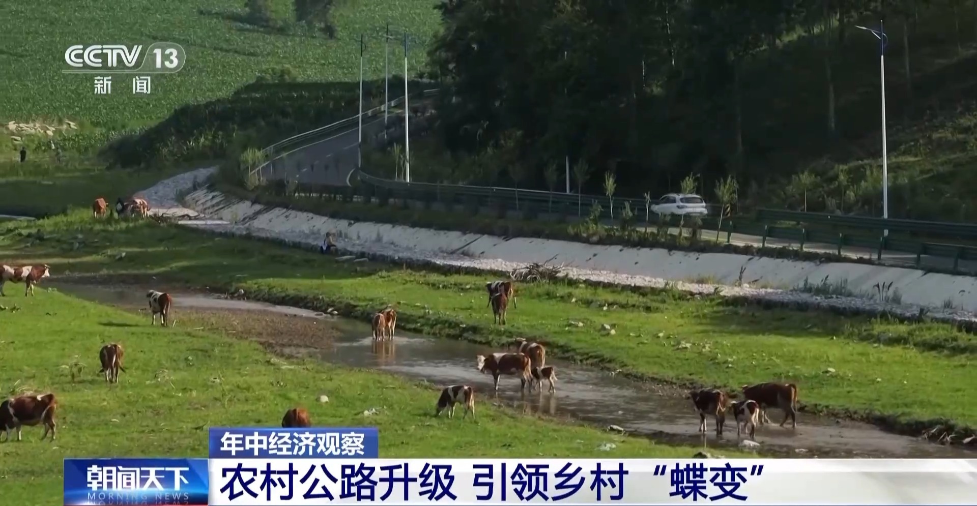 年中经济观察丨说走就走的底气何来？秘密就在这张越织越密的“网”中