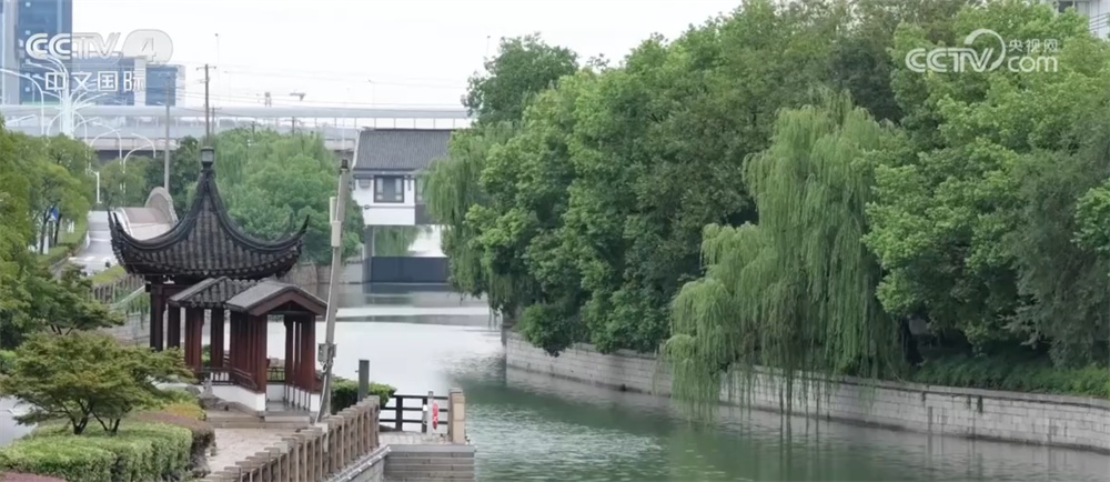 航线停航、停止作业、抢险备战……华东地区积极应对台风“竹节草”影响 航线停航、停止作业、抢险备战……华东地区积极应对台风“竹节草”影响