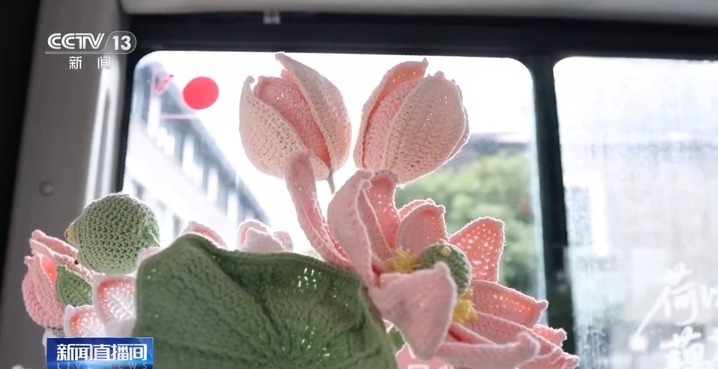 “看熊猫专线” “赏荷巴士”…暑期解锁一站式旅游观光