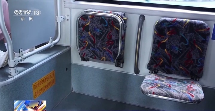 “看熊猫专线” “赏荷巴士”…暑期解锁一站式旅游观光
