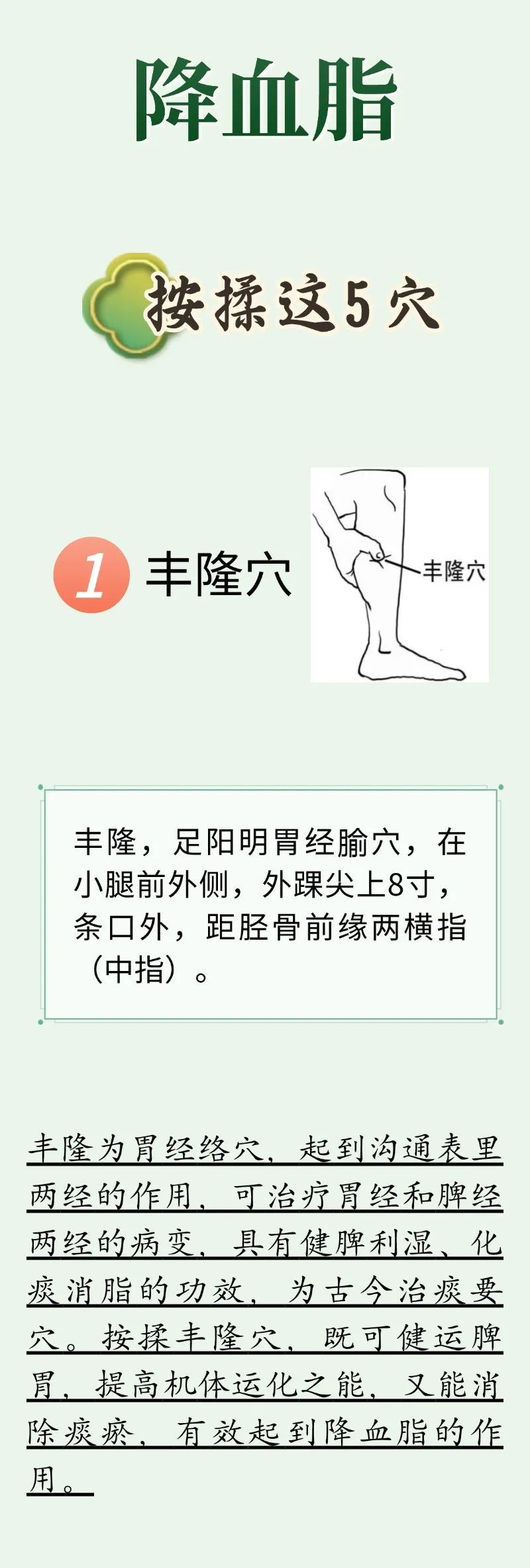 不做 “油腻青年”！每天穴位按摩+养生茶饮，帮助降血脂