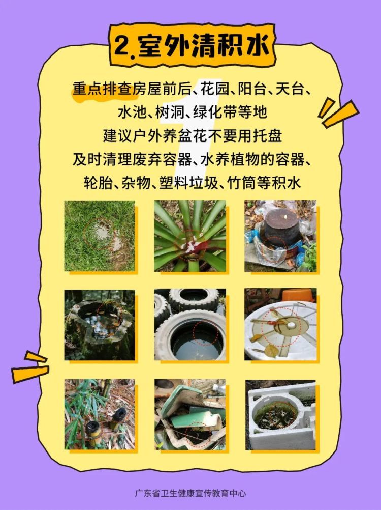 专家解读:基孔肯雅热一般不会二次感染,若感染建议住院隔离 专家解读:基孔肯雅热一般不会二次感染,若感染建议住院隔离