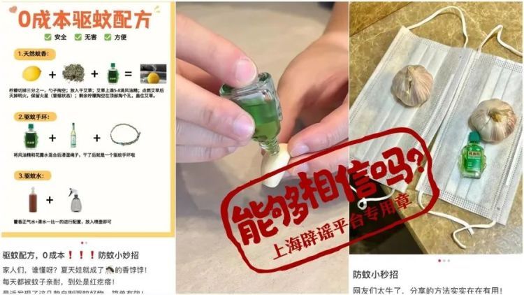 预防基孔肯雅热,哪些举措必不可少?别再用风油精、大蒜了 预防基孔肯雅热,哪些举措必不可少?别再用风油精、大蒜了