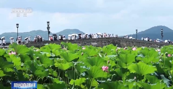 “看熊猫专线” “赏荷巴士”…暑期解锁一站式旅游观光