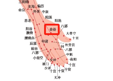 暑热难耐？中医亲授防暑“凉”方