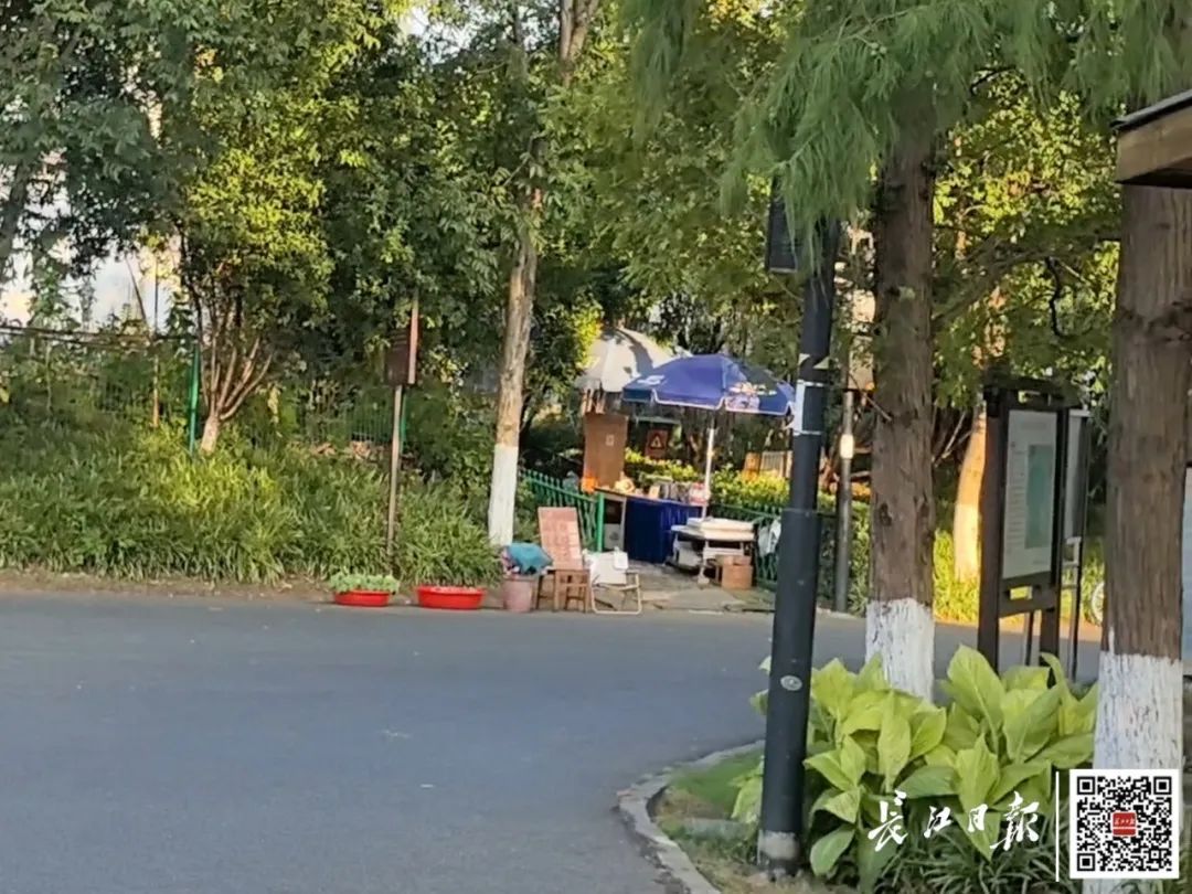 武汉阿姨在东湖支个摊就走,7年都没人逃单 武汉阿姨在东湖支个摊就走,7年都没人逃单