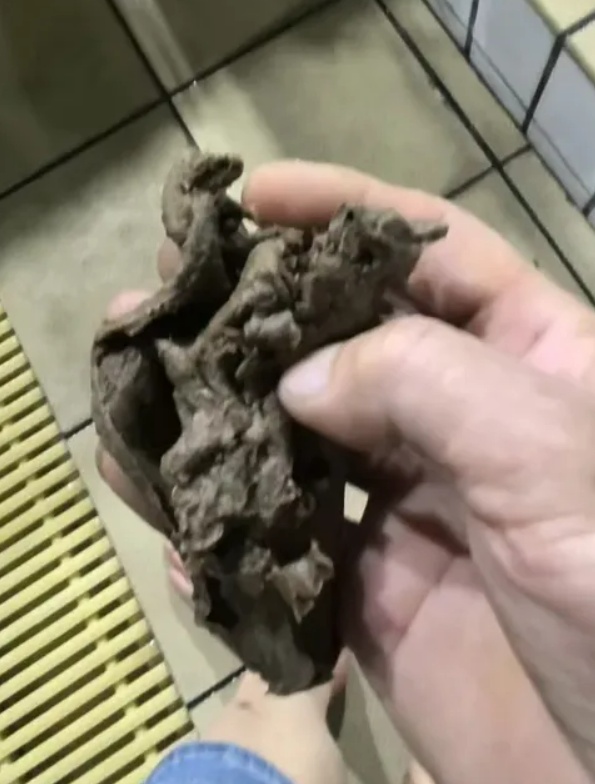 温州龙港游泳馆泳池内疑似有排泄物？官方辟谣