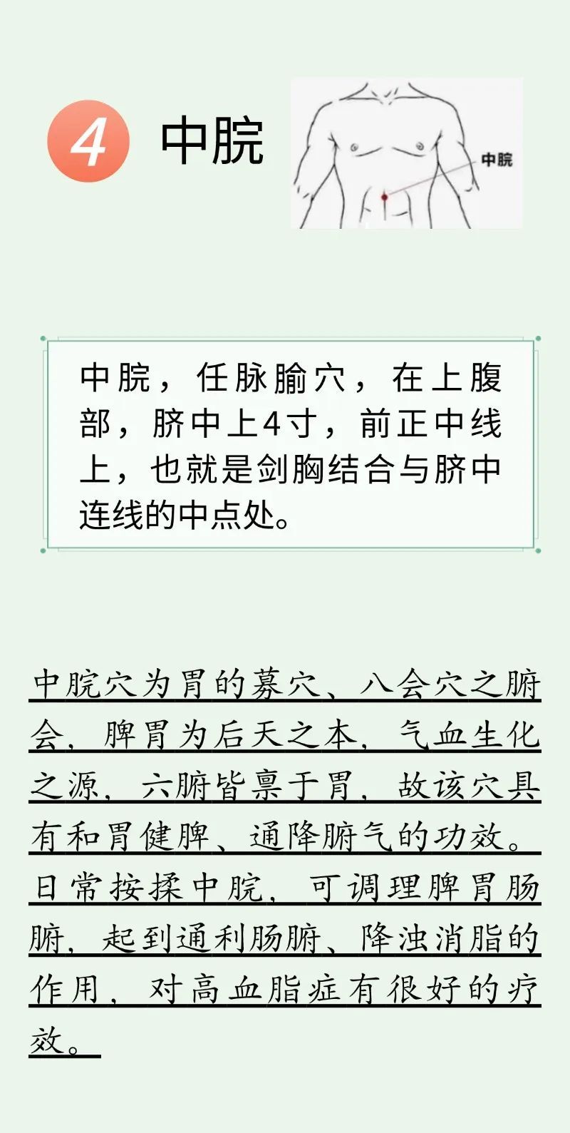 不做 “油腻青年”！每天穴位按摩+养生茶饮，帮助降血脂