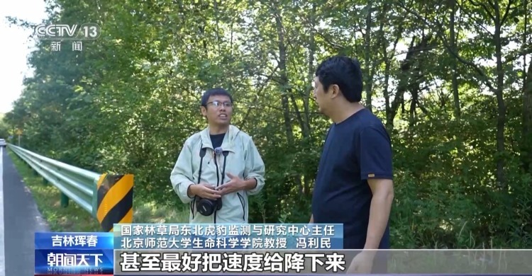 国道附近人虎“狭路相逢”？记者调查发现……