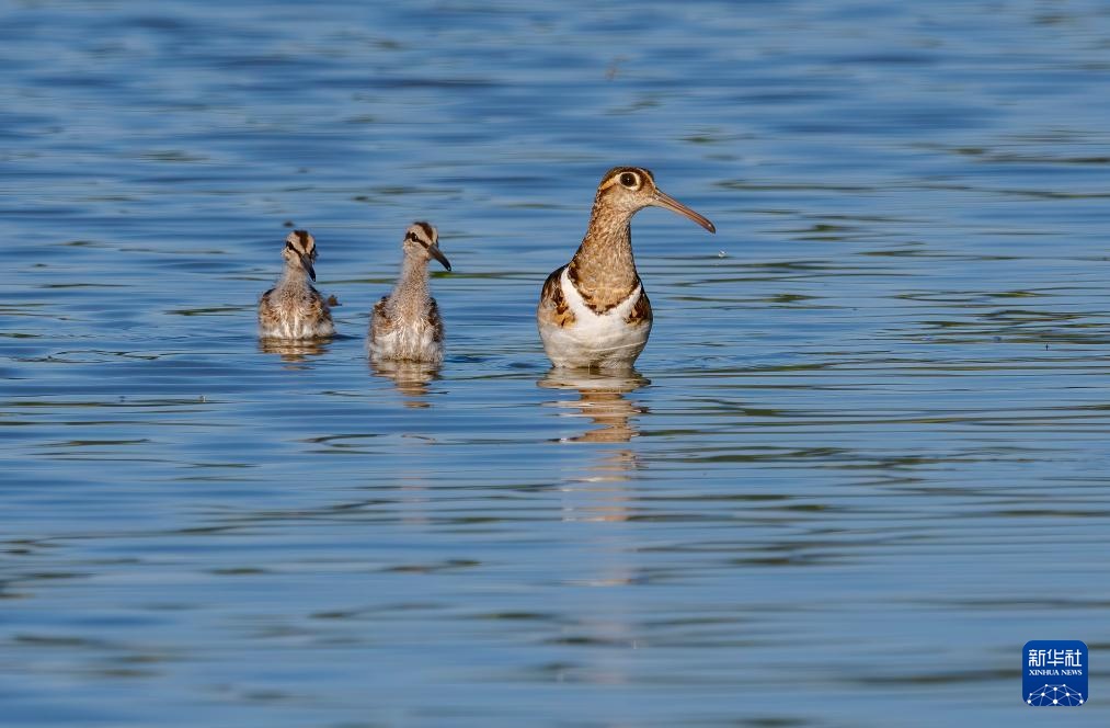 福州：湿地之城 生态画卷