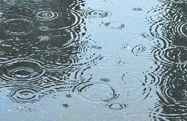 台风远离，杭州高温天今起回归！周末要外出的注意这件事