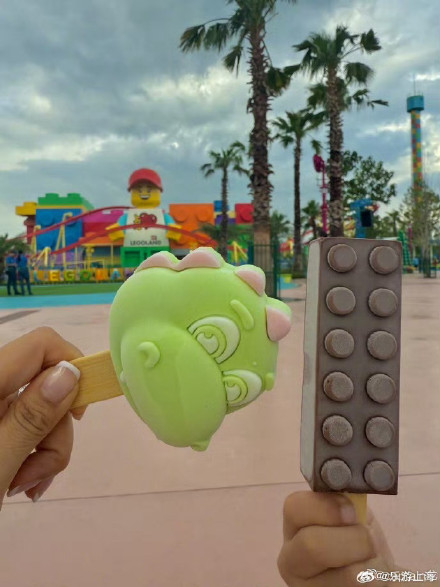 马龙打卡上海乐高乐园