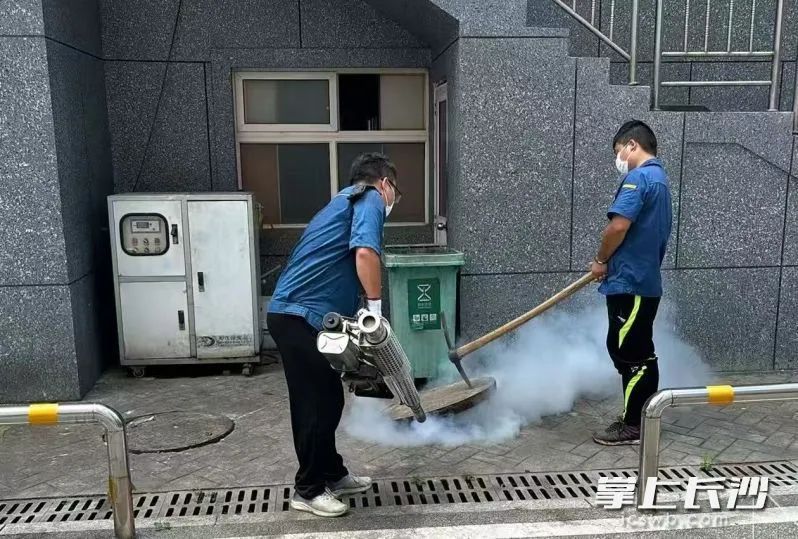 长沙多部门联动全城灭蚊! 长沙多部门联动全城灭蚊!