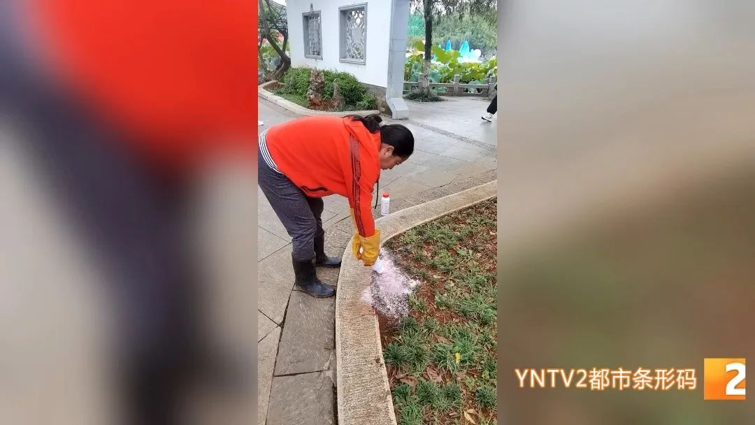 昆明绿化带里看见这种红色警示牌，不要摸！不要碰！迅速离开……