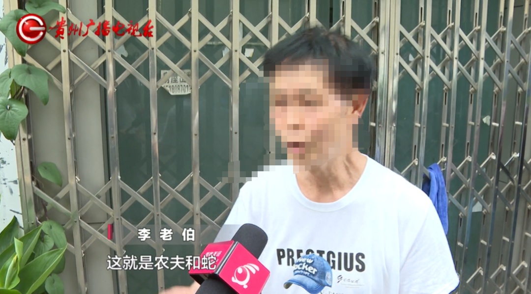 “我才是唯一的亲人...”七旬老伯控诉保姆，姑姑的房子她凭什么“合法”继承？