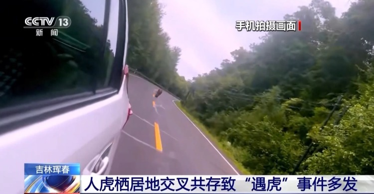 国道附近人虎“狭路相逢”？记者调查发现……