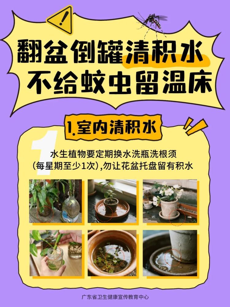 专家解读:基孔肯雅热一般不会二次感染,若感染建议住院隔离 专家解读:基孔肯雅热一般不会二次感染,若感染建议住院隔离