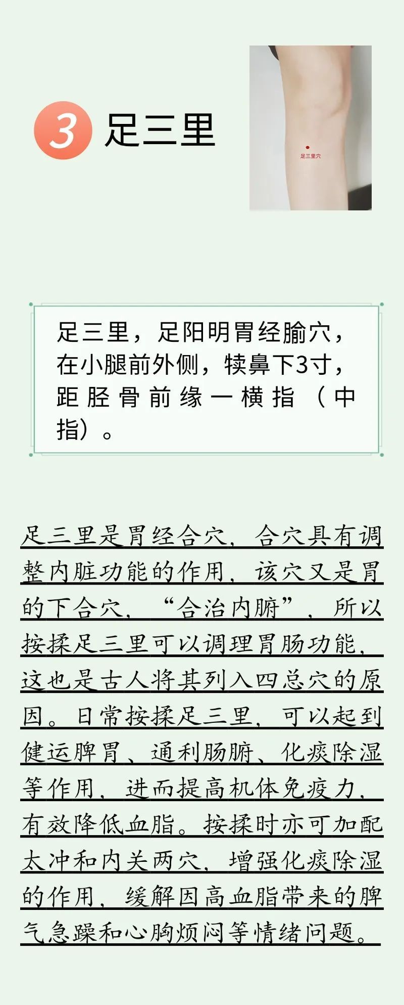 不做 “油腻青年”！每天穴位按摩+养生茶饮，帮助降血脂