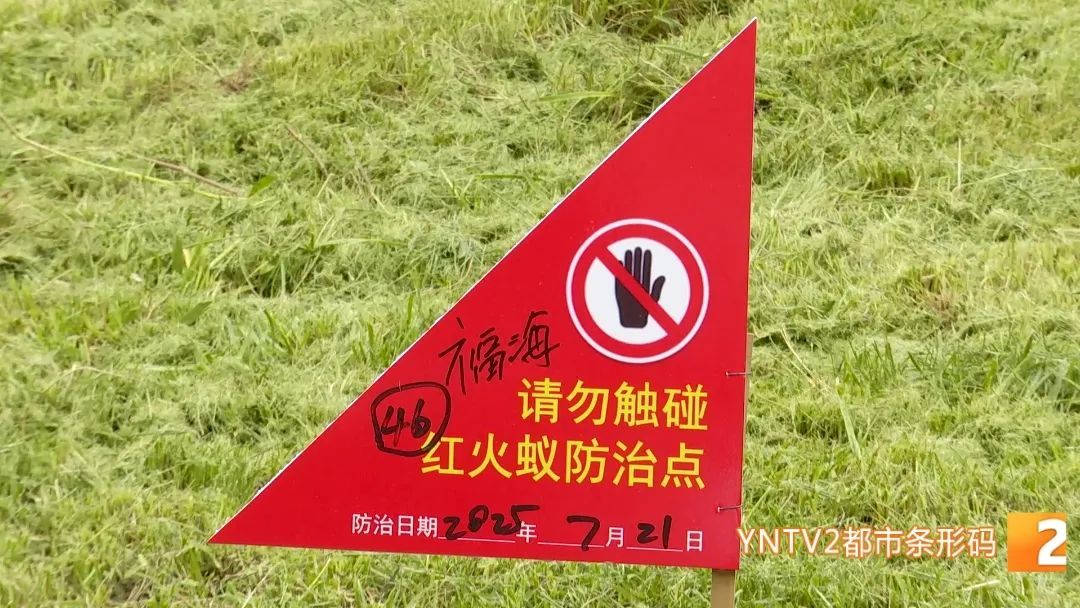 昆明绿化带里看见这种红色警示牌，不要摸！不要碰！迅速离开……