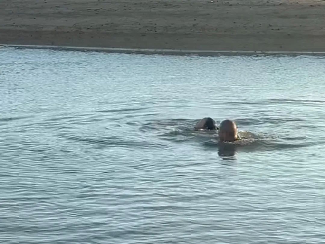 董大哥，好样的！