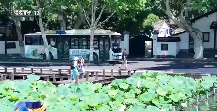 “看熊猫专线” “赏荷巴士”…暑期解锁一站式旅游观光