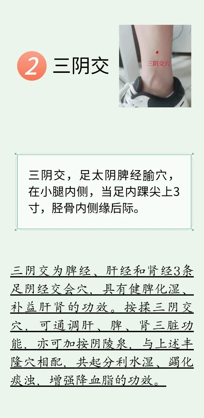 不做 “油腻青年”！每天穴位按摩+养生茶饮，帮助降血脂