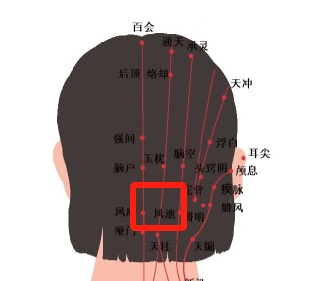暑热难耐？中医亲授防暑“凉”方