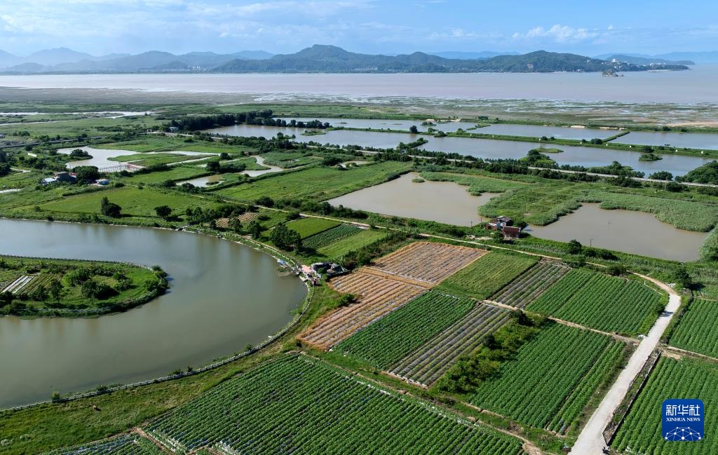 福州：湿地之城 生态画卷