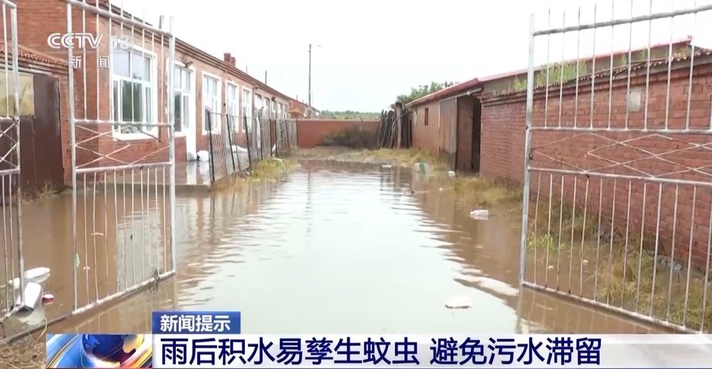 雨后积水易传播疾病 暴雨过后如何做好健康防护？