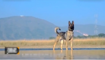 18岁列兵缉毒牺牲 亲属祭扫现场“全员马赛克”