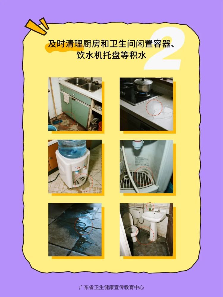 专家解读:基孔肯雅热一般不会二次感染,若感染建议住院隔离 专家解读:基孔肯雅热一般不会二次感染,若感染建议住院隔离