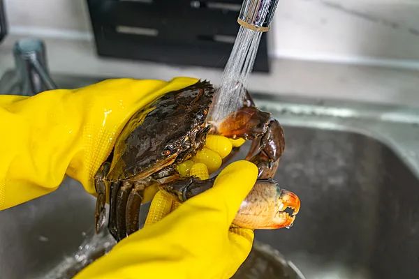 被鱼刺扎伤手指竟住进ICU！警惕这个致命细菌