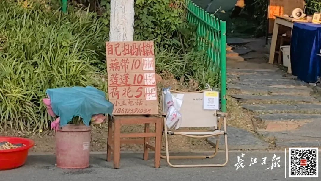 武汉阿姨在东湖支个摊就走,7年都没人逃单 武汉阿姨在东湖支个摊就走,7年都没人逃单