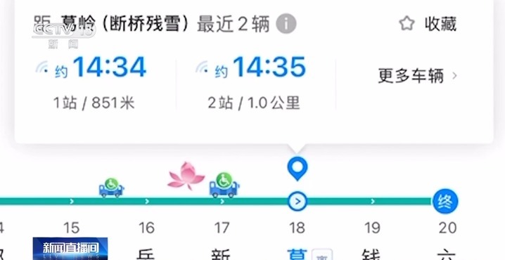 “看熊猫专线” “赏荷巴士”…暑期解锁一站式旅游观光