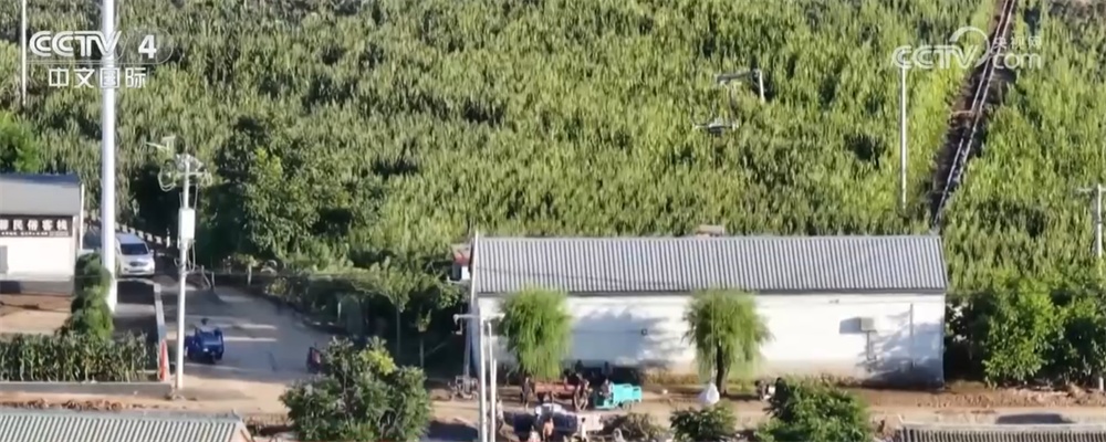 京津冀有序开展灾后恢复重建工作 “多点发力”保障受灾群众基本生活