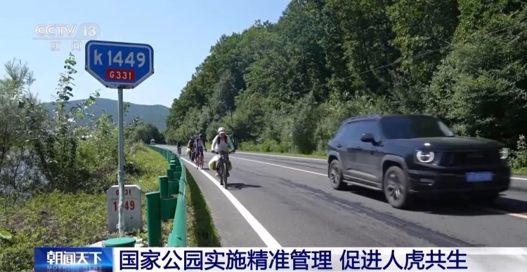 国道附近人虎“狭路相逢”？记者调查发现……