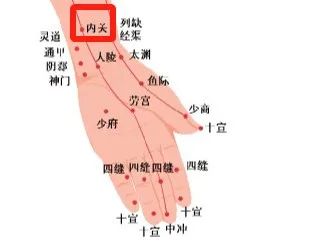 暑热难耐？中医亲授防暑“凉”方