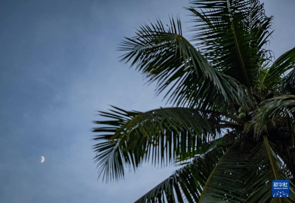 星空相册丨年度最小上弦月现身天宇