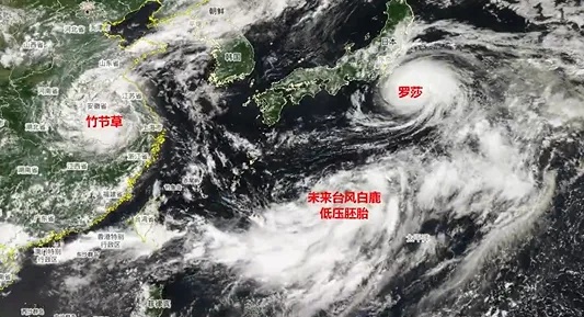 又有新台风或将生成！福建接下来天气……