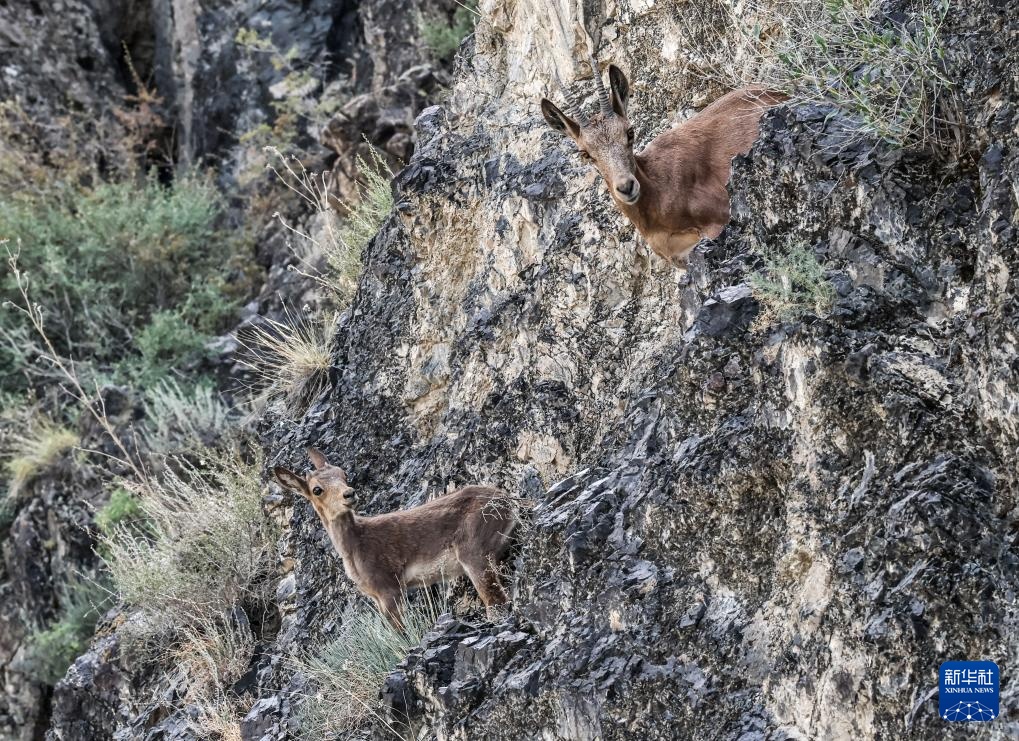 美丽中国丨壮美新疆乌苏古尔图